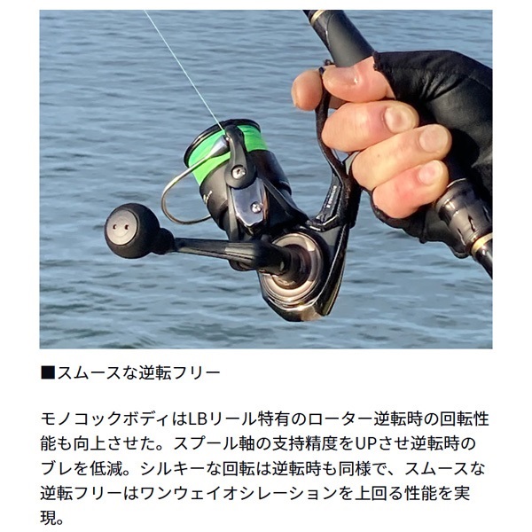 25銀狼